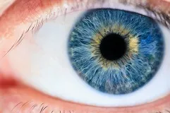 Know Your Eye